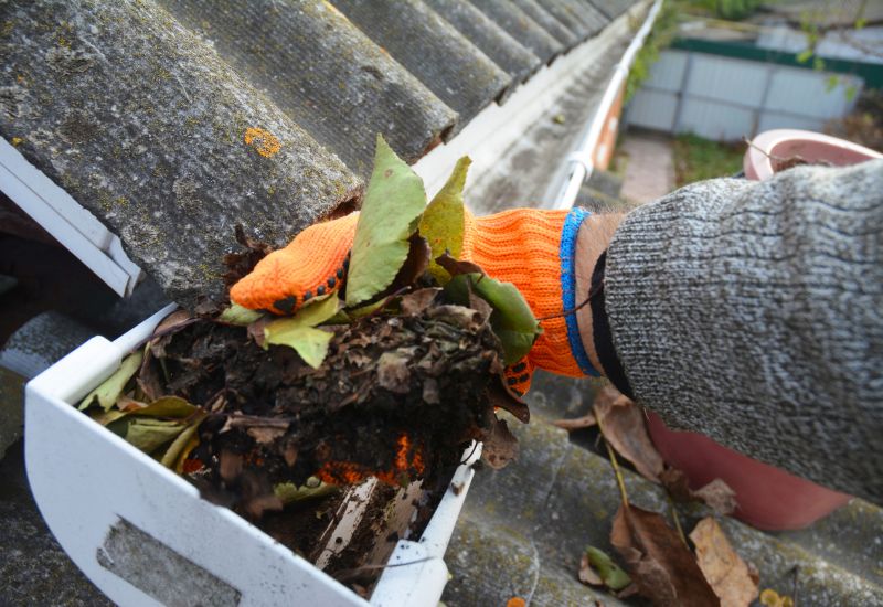 Gutter Leaves Removal