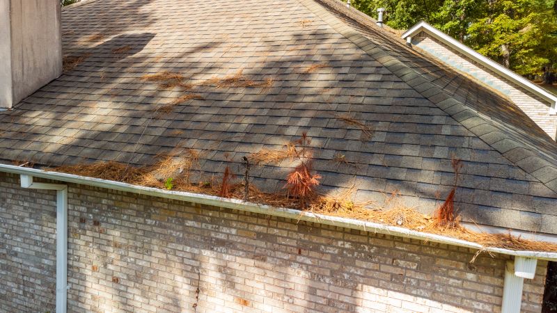 Pine Needle Gutter Cleaning