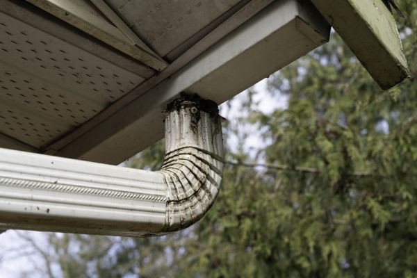 Downspout Cleaning in Durham