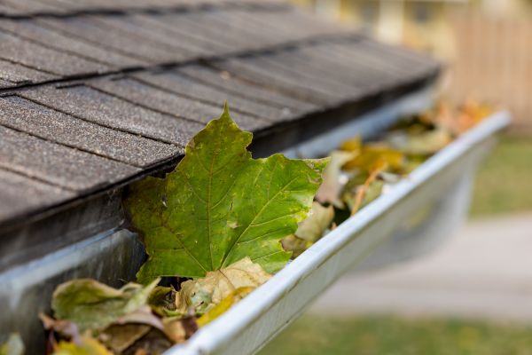Commercial Downspout Cleaning in Durham