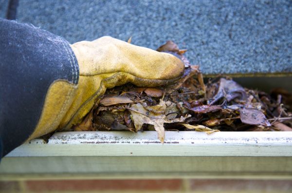 Cost of Jammed Gutter Cleaning in Durham