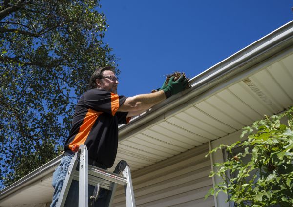 Cost of Eavestrough Clearing in Durham